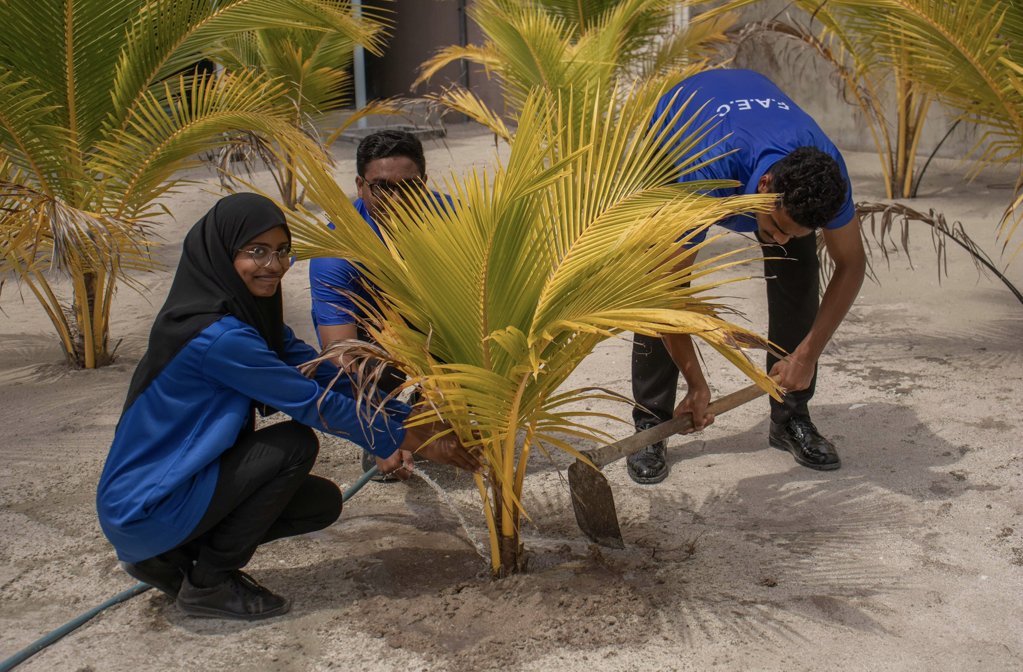 Screenshot 2026 01 16 At 9.46.21 Am