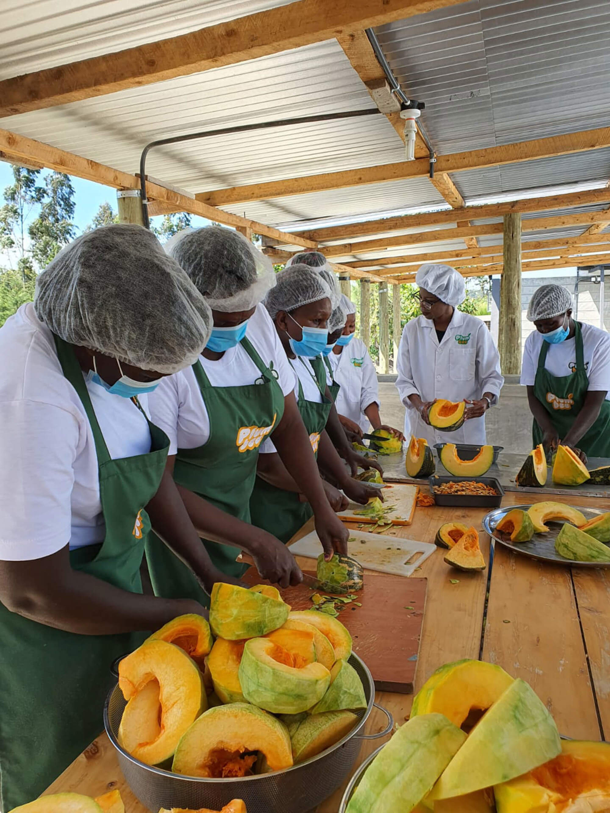 Farmers Also Play A Key Role As Partners In The Processing Process. Copy