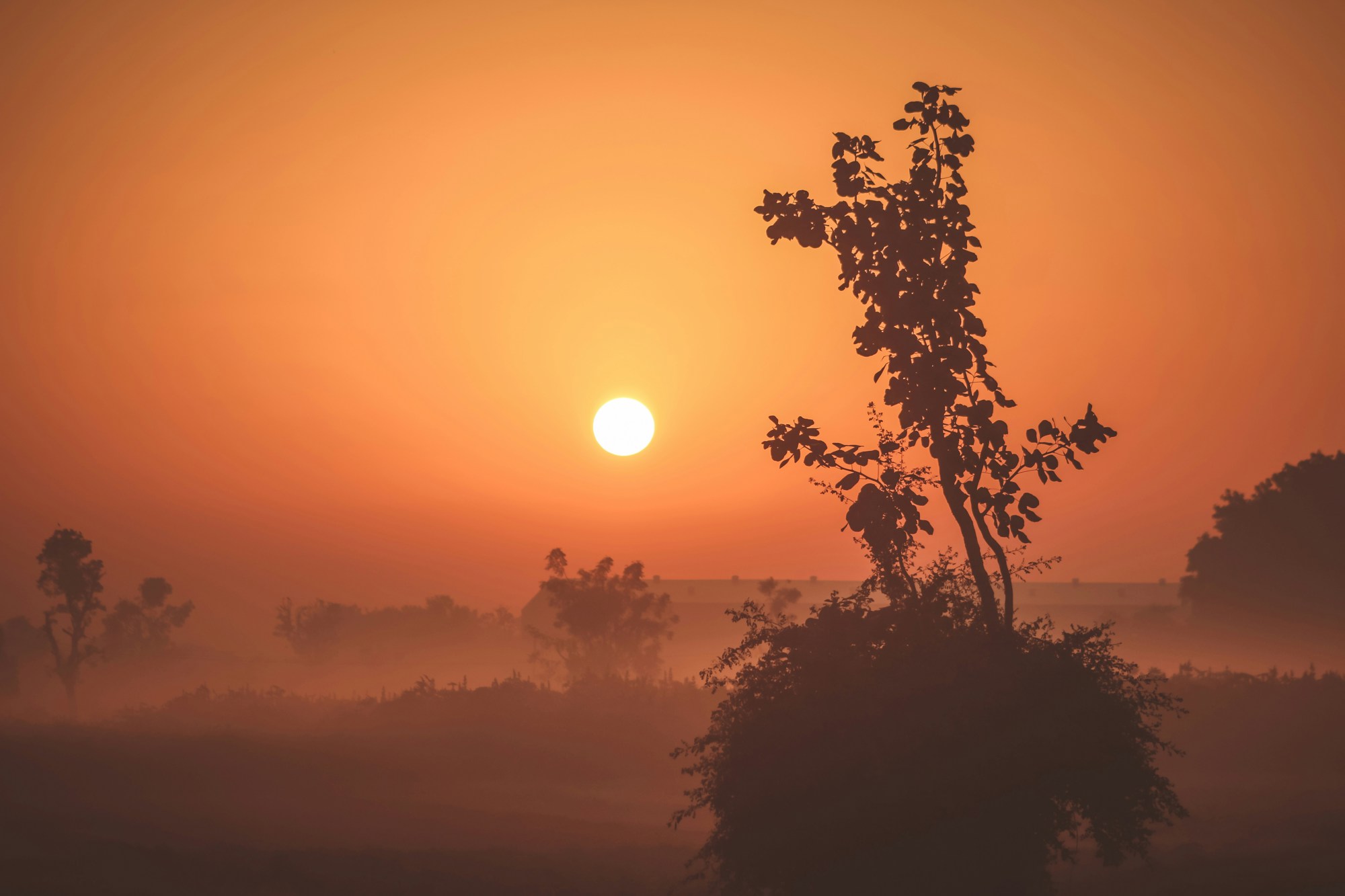 Harsh Jadav Ybw0y8c6clo Unsplash